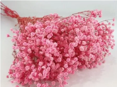 Сухоцвет "Гипсофила", длина 70-80 см, 120 гр/упак., нежно-розовый.
