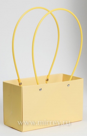 Пакет подарочный "Мастхэв" прямоугольный, 22х10х13 см, 10 шт./упак., желтый
