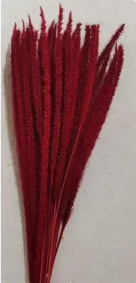 Сухоцвет "Флум", длина 15-20 см, 50 шт/упак, насыщ.красный.