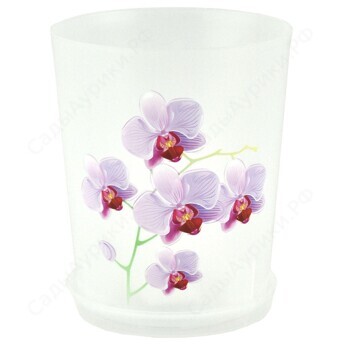 Кашпо для орхидей 0,7л(прозрачное) с поддоном