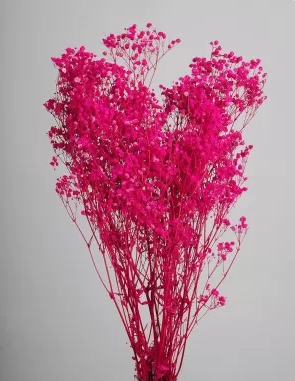 Сухоцвет "Гипсофила", длина 70-80 см, 120 гр/упак., ярко-розовый