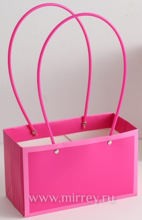 Пакет подарочный "Мастхэв стайл" прямоугольный, 22*10*13см, 10шт/упак малиновый/розовый