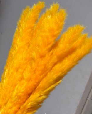 Сухоцвет "Камыш", длина 60-80 см, 15 шт/упак. Оранжевый