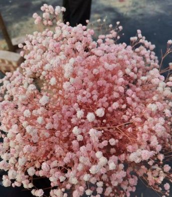 Сухоцвет "Гипсофила", длина 70-80 см, 120 гр/упак., св.розовый
