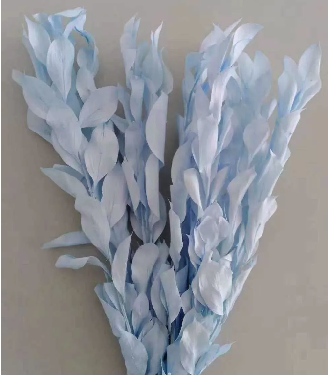 Сухоцвет "Рускус", длина 50-60 см, 5 шт/упак. Голубой