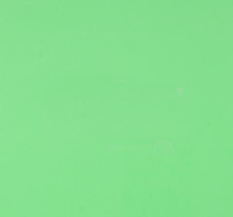 Фоамиран 60*70см 0,8мм зеленый