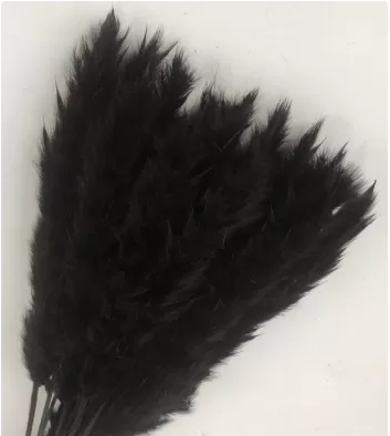 Сухоцвет "Камыш", длина 60-80 см, 15 шт/упак. черный