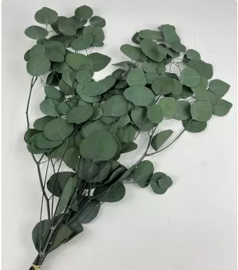 Сухоцвет "Эвкалипт Цинерия", длина 70-75 см, 100 гр/упак., натуральный зеленый