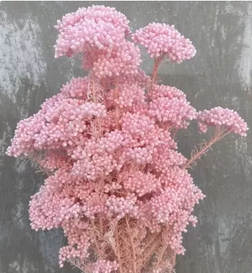 Сухоцвет "Рисовый цветок (Диосми)", длина 60-70 см, 3-5 веток/упак., 80 гр., выбеленн.розовый