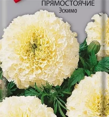 Семена цветы бархатцы Эскимо прямостоячие ц\п 0,05г
