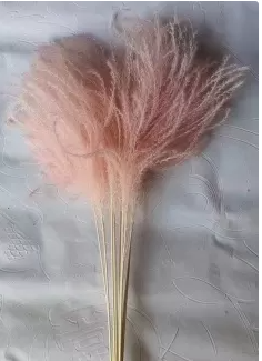 Сухоцвет "Пушистая пампасная трава", длина 65 см, 20 шт. нежно-персиковый