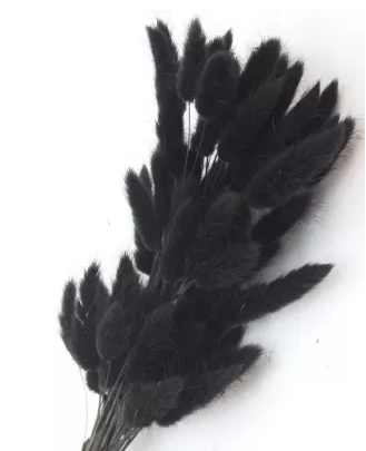 Сухоцвет "Лагурус", 60 шт в пучке, разм. цветка 5-7 см, черный