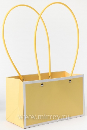 Пакет подарочный "Мастхэв" прямоугольный, 22х10х13 см, 10 шт./упак., желтый с белыми линиями
