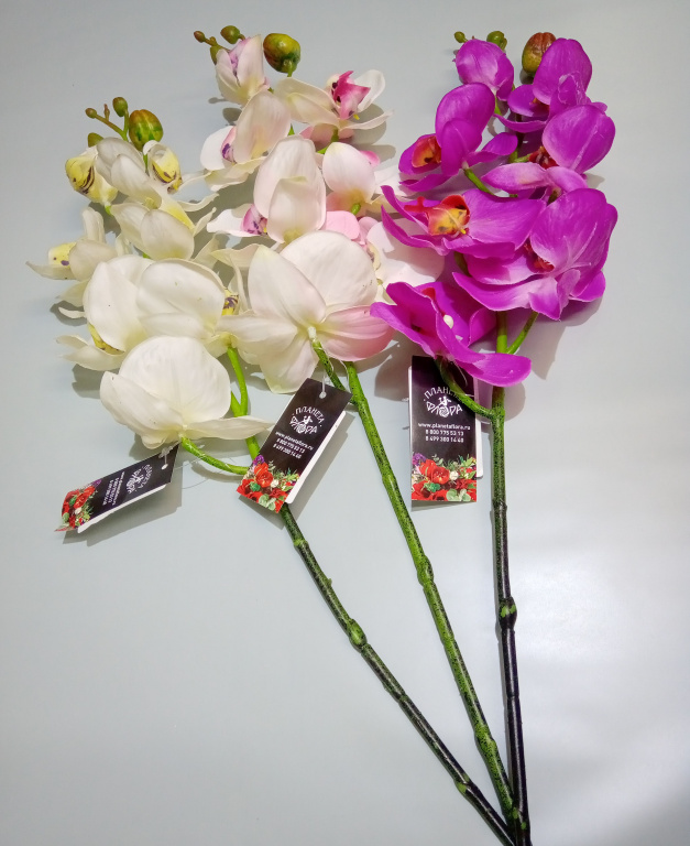 Орхидея мал (искусственная)
