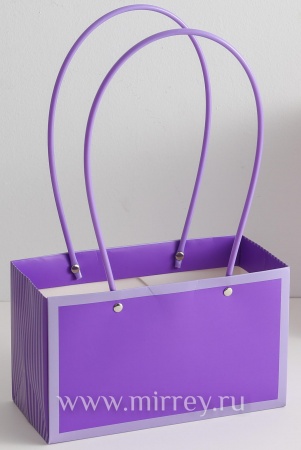 Пакет подарочный "Мастхэв стайл" прямоугольный, 22х10х13 см, 10 шт./упак., фиолетовый/сиреневый