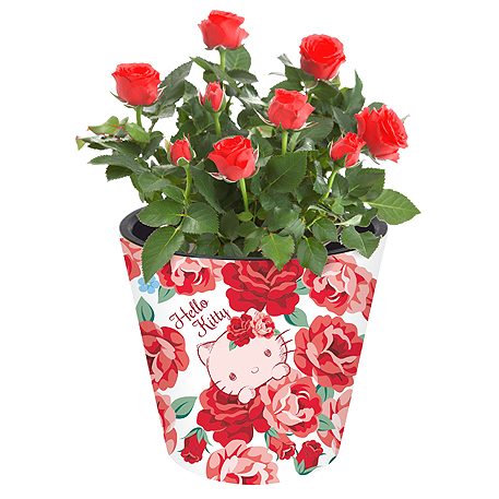 Горшок для цветов London D 160 мм/1,6 л Hello Kitty ® Розы