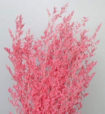 Сухоцвет "Лимониум", длина 70-80 см, 3-5 веточки, 80 гр. Св.розовый
