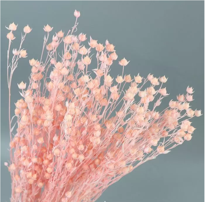 Сухоцвет "Бобы акации", длина 60-70 см, 30-45 веток/упак. Св.розовый