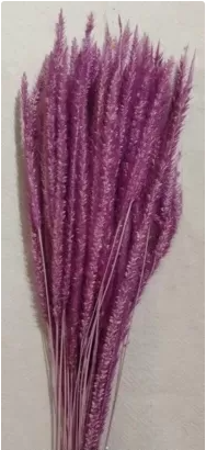 Сухоцвет "Флум", длина 15-20 см, 50 шт/упак, сиренево-пурпурный.