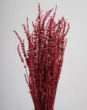 Сухоцвет "Лаванда" стабилизированная, 80 гр. разм. пучка 50-60 см. пурпурно-розовый