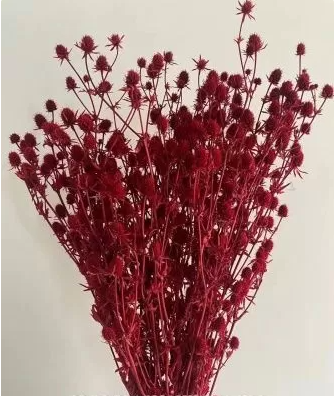 Сухоцвет «Эрингиум», 100 гр/упак., красный