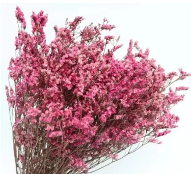 Сухоцвет "Каспия лавандовая", длина 60-70 см, 3-5 шт/упак.яркий розовый