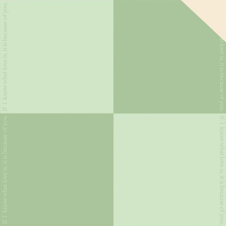 Упак. материал флористическая пленка "Ход королевы" 58см*10м, светло-зеленый