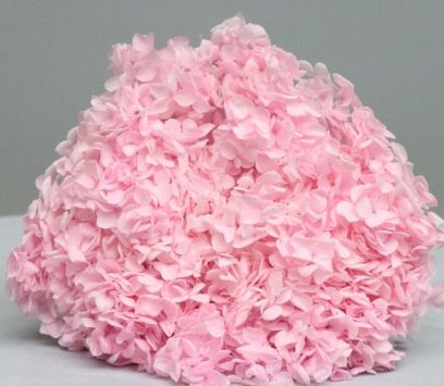 Сухоцвет "Гортензия", длина 60-70 см, диаметр цветка 20 см, 50-60 гр. Св.розовый