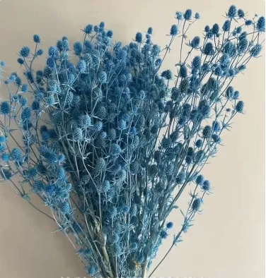 Сухоцвет «Эрингиум», 100 гр/упак., голубой