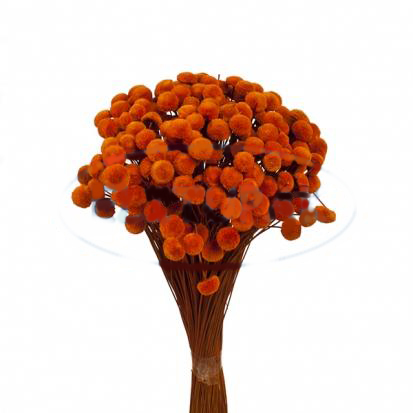 Цветы "Пуговички", 100г. оранжевый