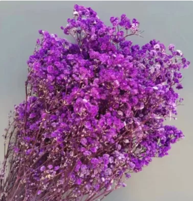 Сухоцвет "Гипсофила", длина 70-80 см, 120 гр/упак., фиолетовый