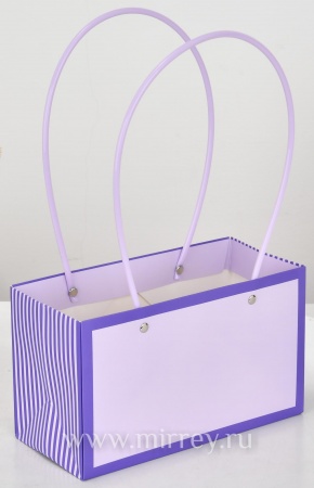 Пакет подарочный "Мастхэв стайл" прямоугольный, 22х10х13 см, 10 шт./упак. неж-лавандовый/фиолетовый