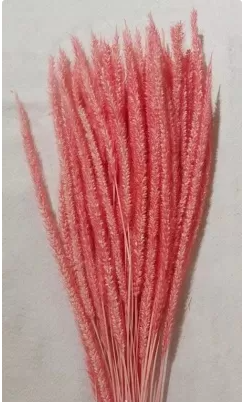 Сухоцвет "Флум", длина 15-20 см, 50 шт/упак, розовый.