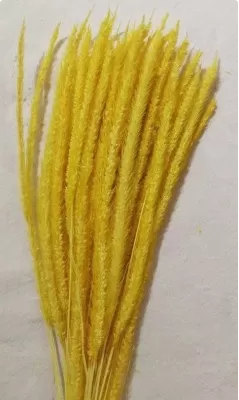 Сухоцвет "Флум", длина 15-20 см, 50 шт/упак, желтый.
