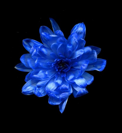 Флористическая краска 0,275л №4 синий