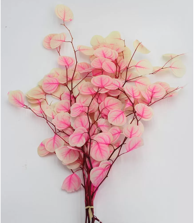 Сухоцвет "Эвкалипт Цинерия", длина 60-70 см, 100 гр/упак., градиент бело-розовый.