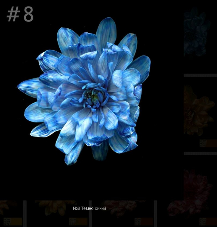 Флористическая краска 0,275л №8 тёмно-синий