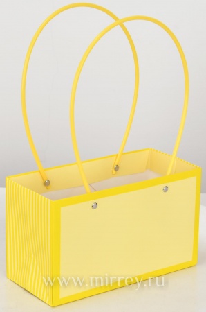 Пакет подарочный "Мастхэв стайл" прямоугольный, 22х10х13 см, 10 шт./упак., пастельно-желтый / желтый