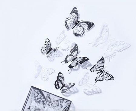 Флористический аксессуар "Бабочки", ПВХ в прозрачном боксе. 32шт/упак., черно-белые
