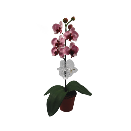 Зажим д/поддержки орхидей 5*5см прозрачный