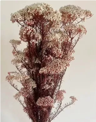 Сухоцвет "Рисовый цветок (Диосми)", длина 60-70 см, 3-5 веток/упак., 80 гр., бело-розовый