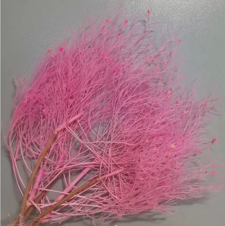 Сухоцвет "Ситник нитевидный", длина 50-70 см, 2-5 шт/упак. Св.розовый