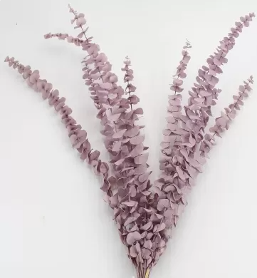 Сухоцвет "Эвкалипт Бэби Блю", длина 60-65 см, 10 шт./упак., выбеленно-пурпурный