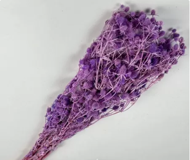 Сухоцвет «Эрингиум», 100 гр/упак., фиолетовый