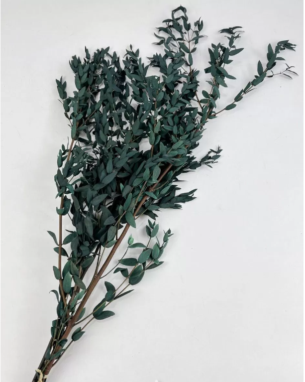 Сухоцвет "Эвкалипт Парви" длина 60-70 см, 100 гр/упак, глубокий бирюзовый.