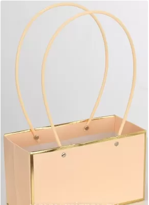 Пакет подарочный "Мастхэв" прямоугольный, 22х10х13 см, 10 шт./упак., шампань с золотыми линиями