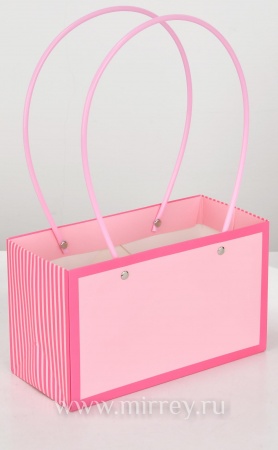 Пакет подарочный "Мастхэв стайл" прямоугольный, 22х10х13 см, 10 шт./упак., нежно-розовый/розовый
