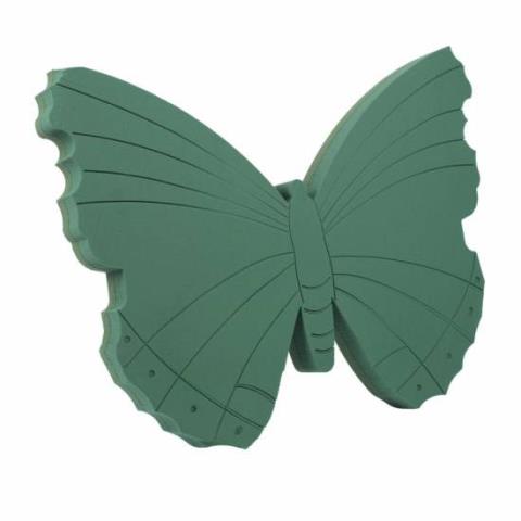 Оазис бабочка