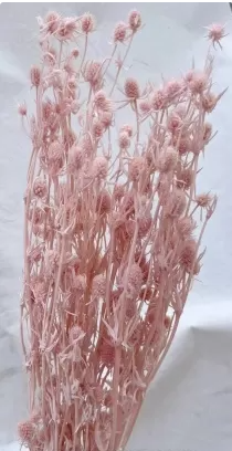 Сухоцвет «Эрингиум», 100 гр/упак., светло розовый