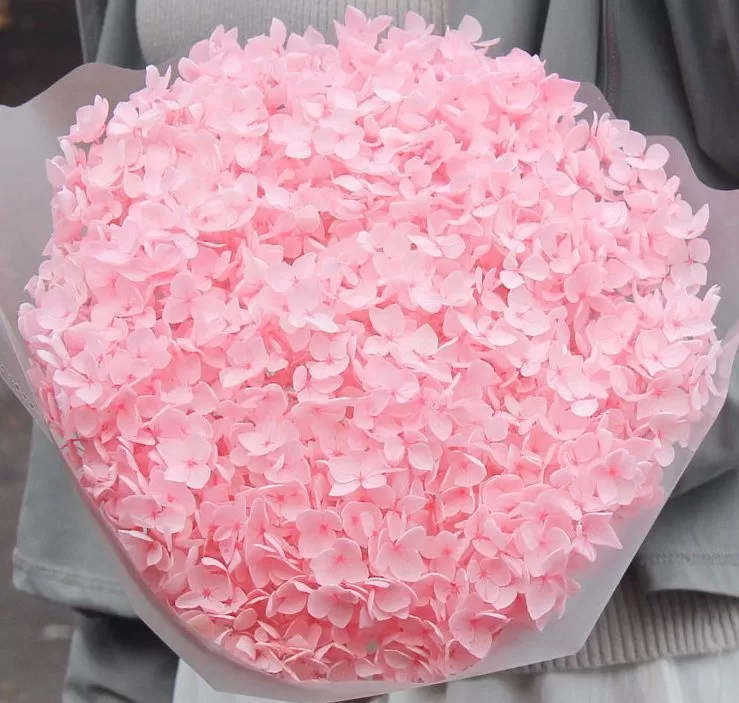 Сухоцвет "Гортензия", длина 60-70 см, диаметр цветка 20 см, 50-60 гр. Светло-розовый